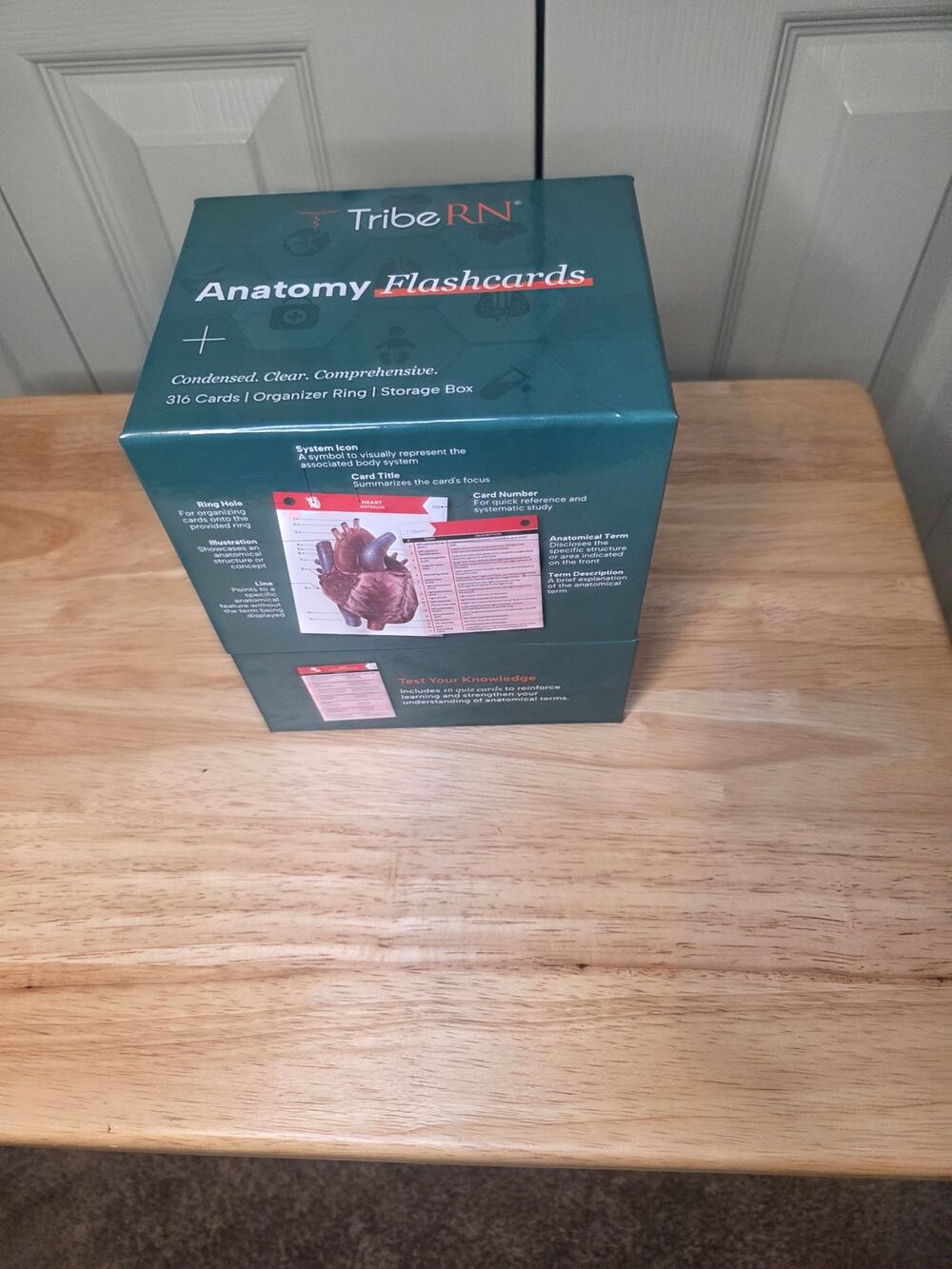 Tribe RN Anatomy Flashcards